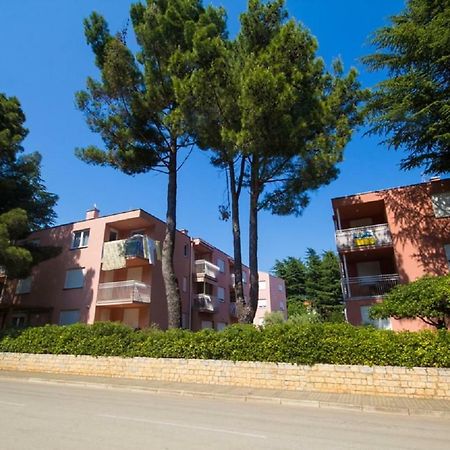 Roza Apartment Новиград Екстериор снимка